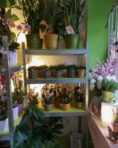 Screenshot 20260114 212217 Facebook