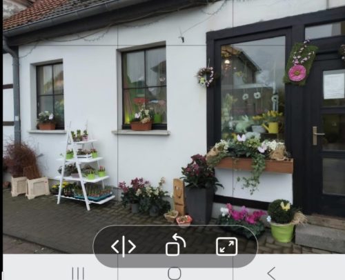 Screenshot 20260115 120645 Photo-Editor